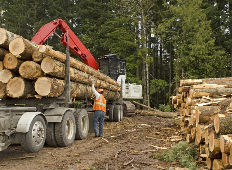 Environmental Crime Lawyers NSW