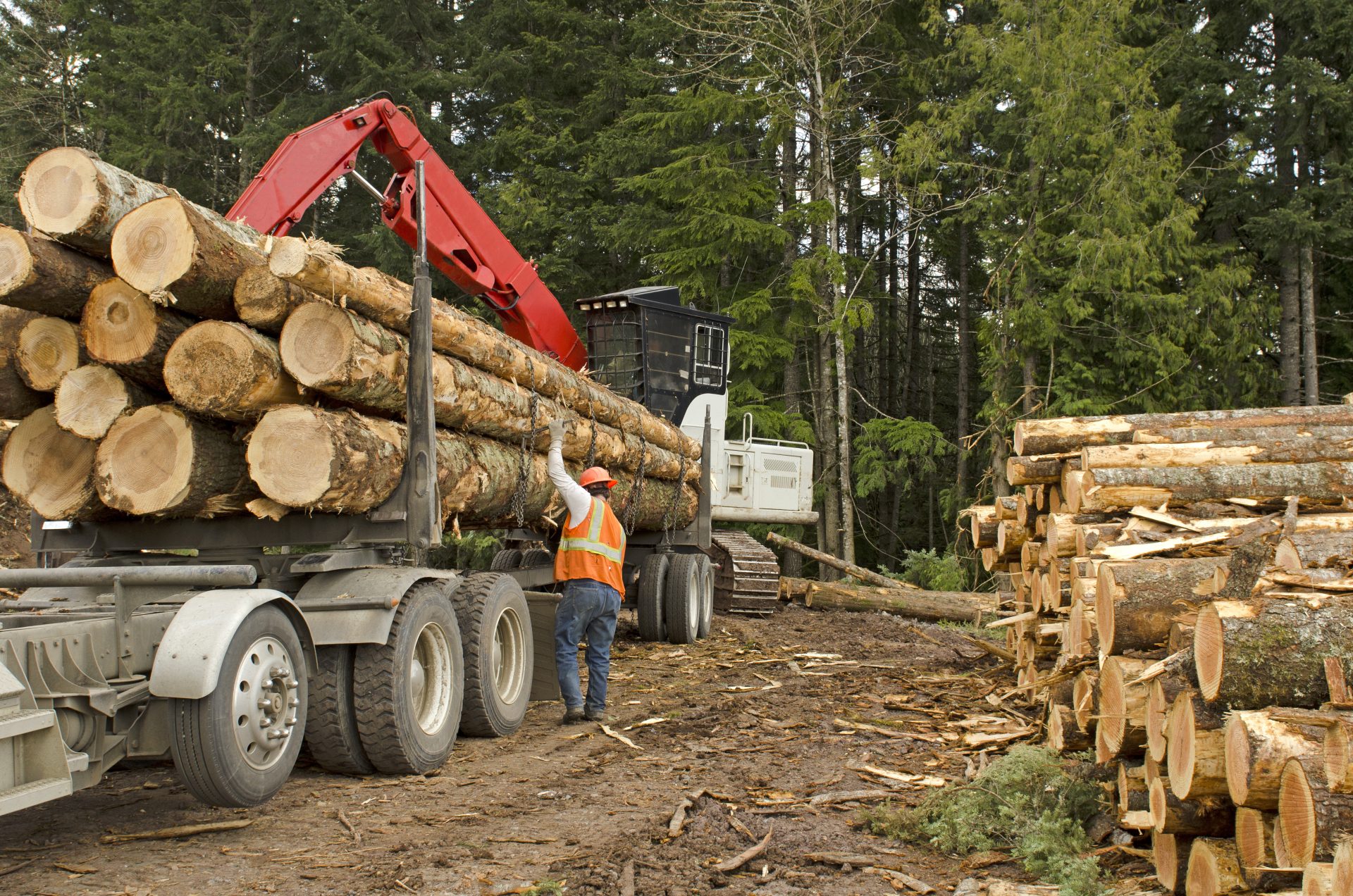 Export logs